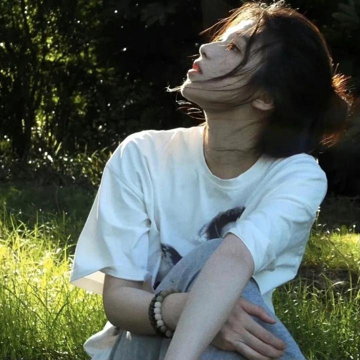 龙侠虎盗